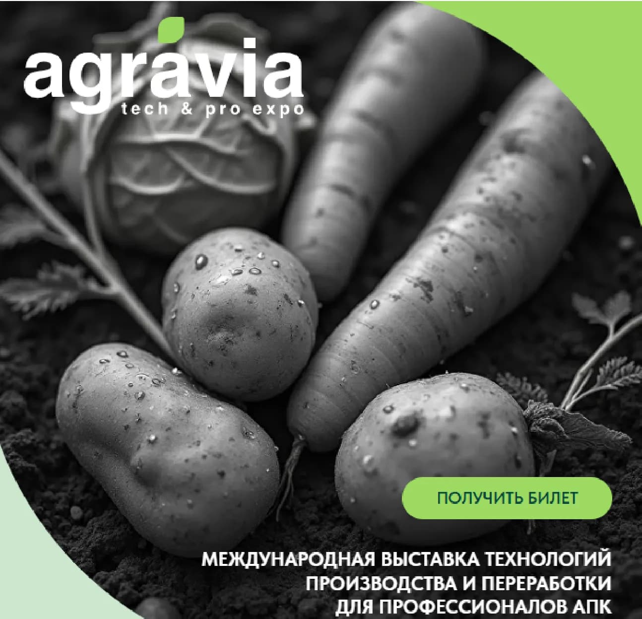 Международная выставка АГРОС 2026 – платформа для развития отечественного агропрома фото